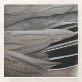 Duck Feather Foto Modern Black Grey Natuur Glazen Onderzetter