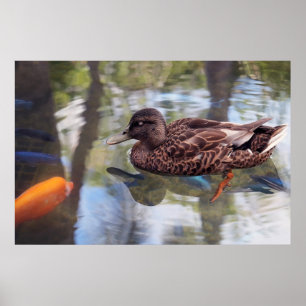 Duck & Fish Pond Poster