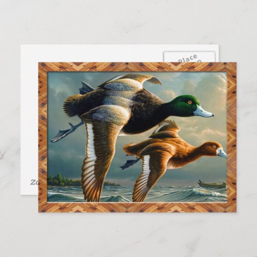 Duck Flying Briefkaart (Voorkant / Achterkant)