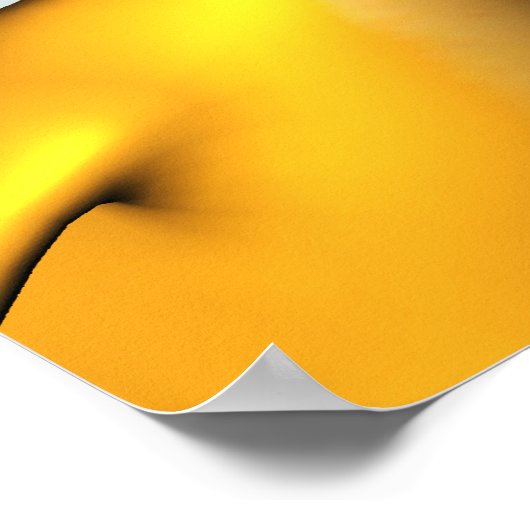 Duck Gathering Poster (Hoek)