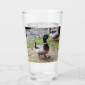 Duck Glas (Voorkant)