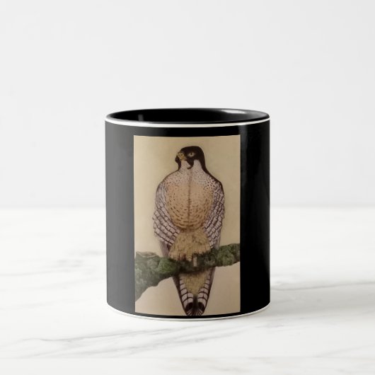 Duck Hawk Mug Tweekleurige Koffiemok (Center)
