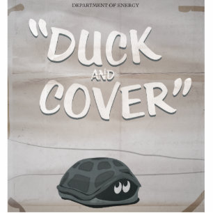 Duck & Hoesje Staand Fotobeeldje