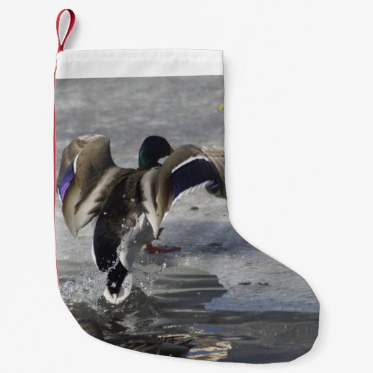 Duck Holiday Stocking Kleine Kerstsok (Voorkant)