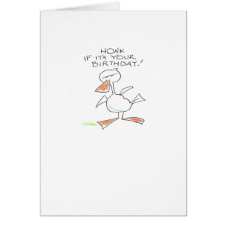 Duck honk