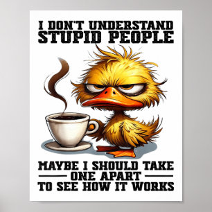 Duck, ik begrijp geen domme mensen, misschien moet poster