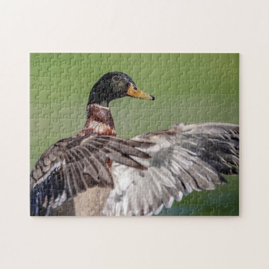 Duck in de Hudson Valley Legpuzzel (Horizontaal)