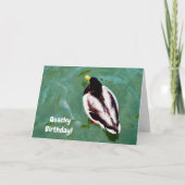 Duck In Een Lake Quacky Verjaardag Kaart (Voorkant)