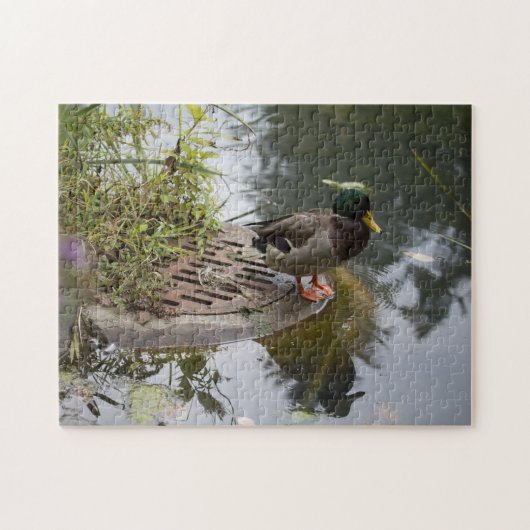 Duck in een Pond Legpuzzel (Horizontaal)