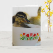 Duck in een Teacup 2 Kaart (Gele Bloem)
