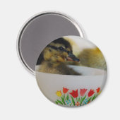 Duck in een Teacup 2 Magneet (Voorkant / Achterkant)
