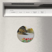 Duck in een Teacup 2 Magneet (Insitu (Vaatwasser))