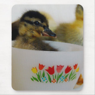Duck in een Teacup 2 Muismat