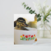 Duck in een Teacup Briefkaart (Staand voorkant)