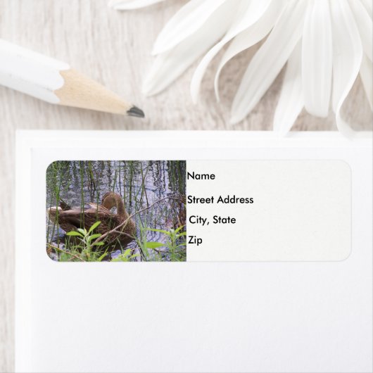 Duck in het riet etiket (Insitu)