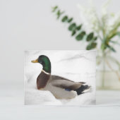 Duck in Snow Briefkaart (Staand voorkant)