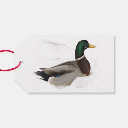 Duck in Snow Pack of Gift Labels Cadeaulabel (Achterkant Horizontaal)