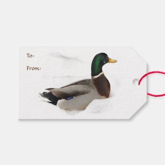 Duck in Snow Pack of Gift Labels Cadeaulabel (Voorkant (Horizontaal))
