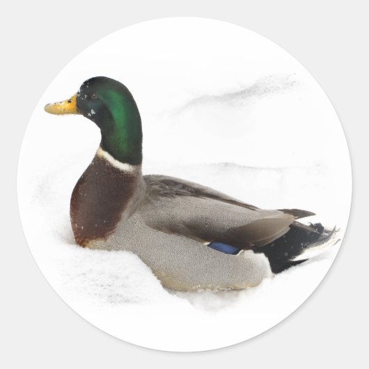 Duck in Snow Ronde Sticker (Voorkant)