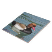 Duck in the Water Tegeltje (Zijkant)