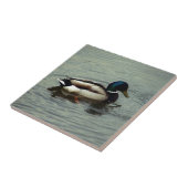 Duck in the Water Tegeltje (Zijkant)