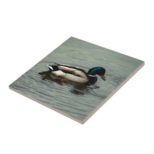 Duck in the Water Tegeltje (Zijkant)
