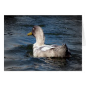 Duck in Water (Voorkant Horizontaal)