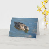 Duck in Water Kaart (Gele Bloem)