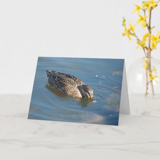 Duck in Water Kaart (Gele Bloem)