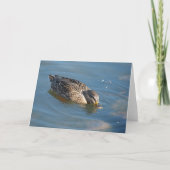 Duck in Water Kaart (Voorkant)