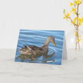 Duck in Water Kaart (Gele Bloem)
