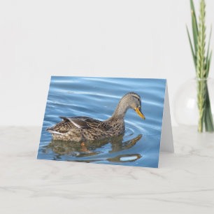 Duck in Water Kaart