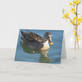 Duck in Water Kaart (Gele Bloem)