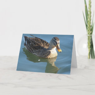 Duck in Water Kaart