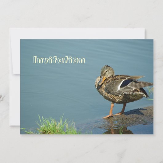 Duck Invitation Kaart (Voorkant)