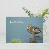 Duck Invitation Kaart (Staand voorkant)