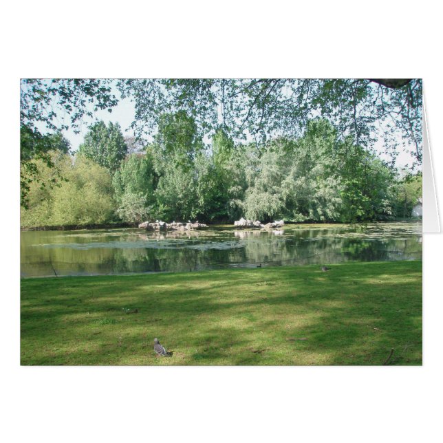 Duck Island, St. James Park (Voorkant Horizontaal)