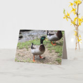 Duck Kaart (Gele Bloem)