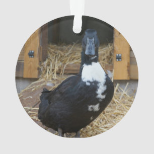 Duck Kerstversiering Ornament