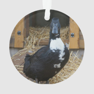 Duck Kerstversiering Ornament
