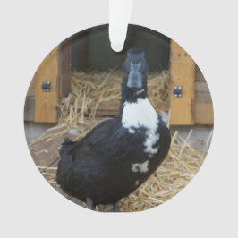 Duck Kerstversiering Ornament