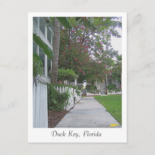 Duck Key, Florida Briefkaart (Voorkant)