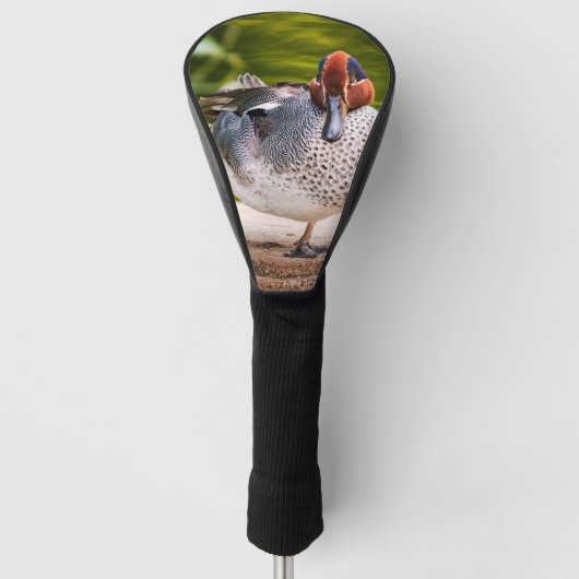 Duck krijgt een been omhoog golfheadcover (Voorkant)