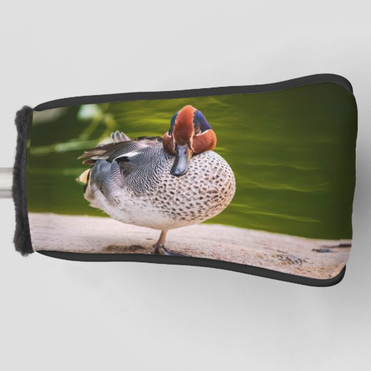 Duck krijgt een been omhoog golfheadcover (Voorkant)
