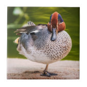 Duck krijgt een been omhoog tegeltje (Voorkant)