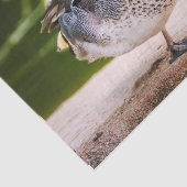 Duck krijgt een been omhoog tissuepapier (Detail)