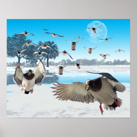Duck Lake Poster (Voorkant)