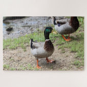 Duck Legpuzzel (Horizontaal)