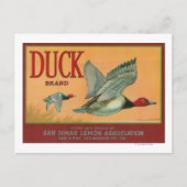 Duck Lemon LabelSan Dimas, CA Briefkaart (Voorkant)