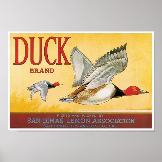 Duck Lemon San Dimas Los Angeles County Poster (Voorkant)
